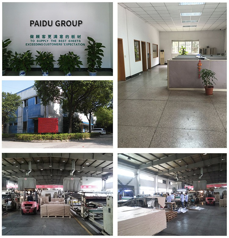 Paidu Group 1mm 2mm 3mm 5mm 10mm 15mm 20mm 100mm Extruded ABS Plastic Sheets for Sale